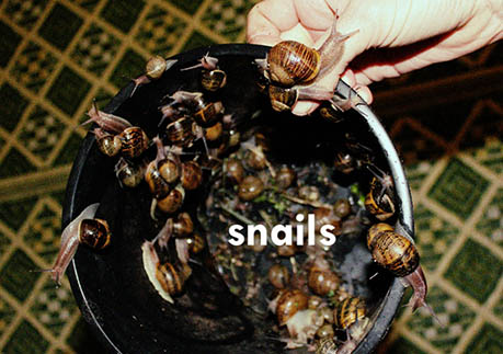 38-snails